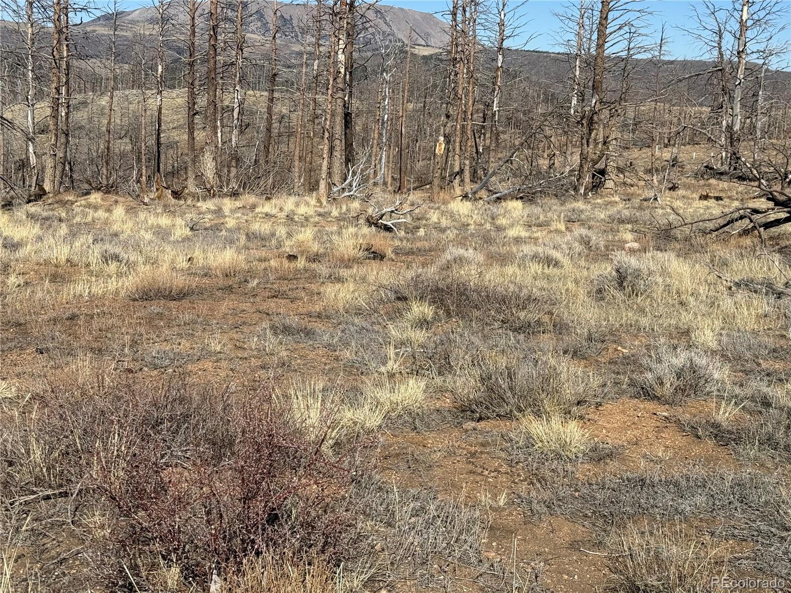 Lot 385 Soubry Place Fort Garland CO 81133