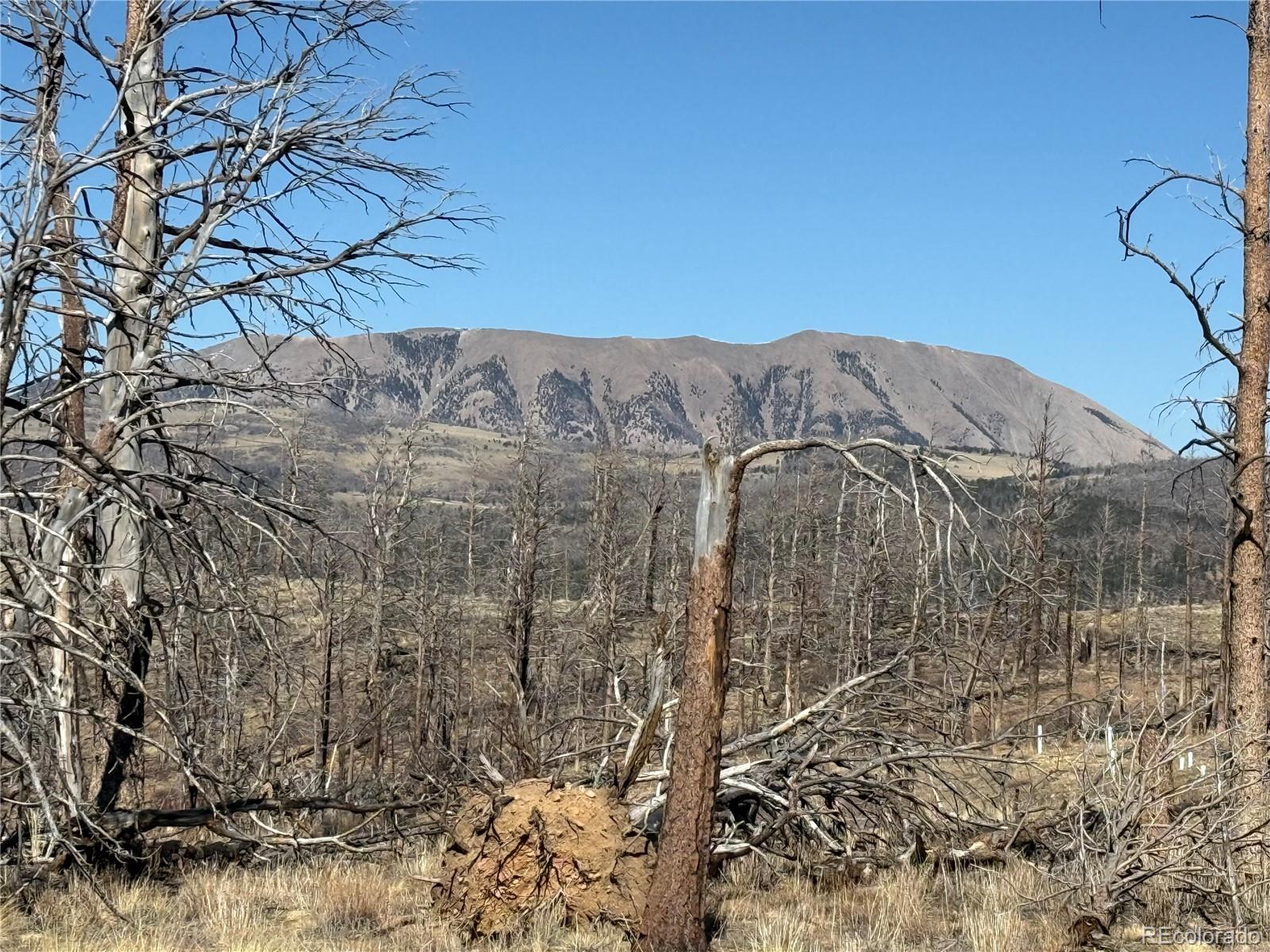 Lot 385 Soubry Place Fort Garland CO 81133