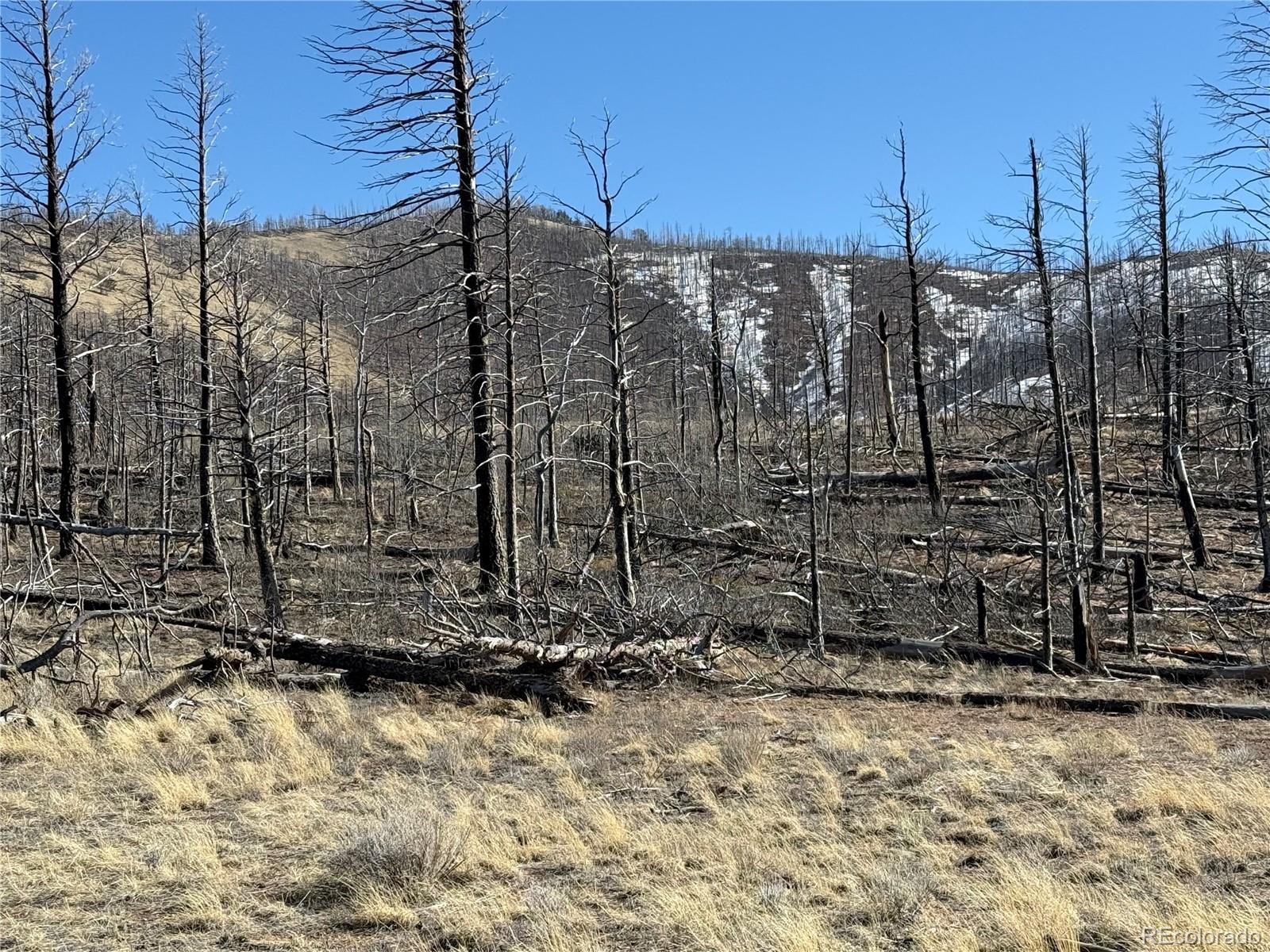 Lot 385 Soubry Place Fort Garland CO 81133
