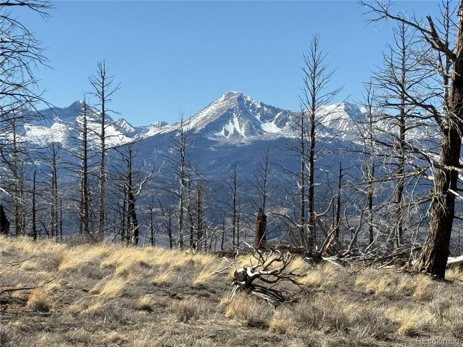 Lot 385 Soubry Place Fort Garland CO 81133