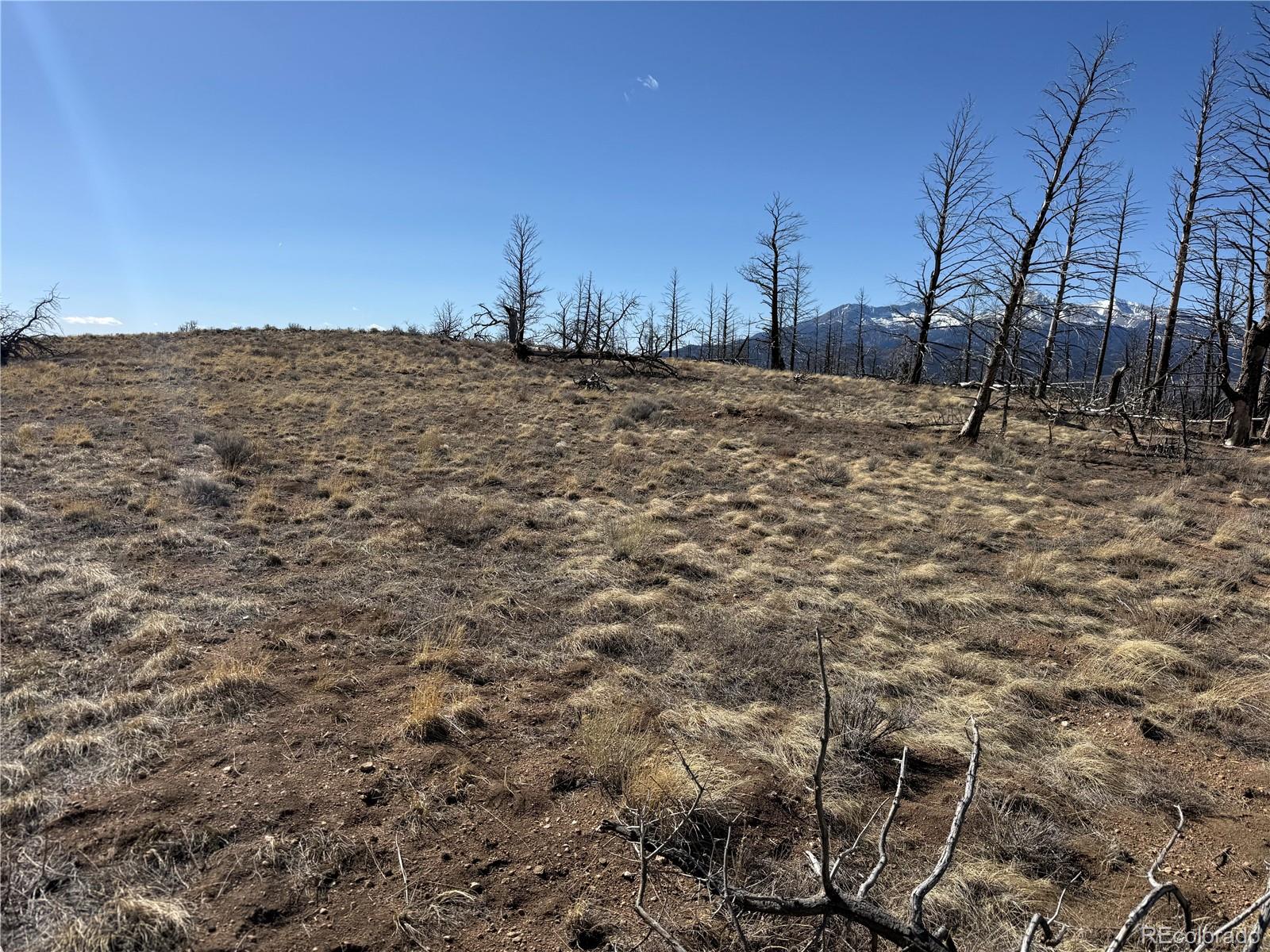 Lot 385 Soubry Place Fort Garland CO 81133