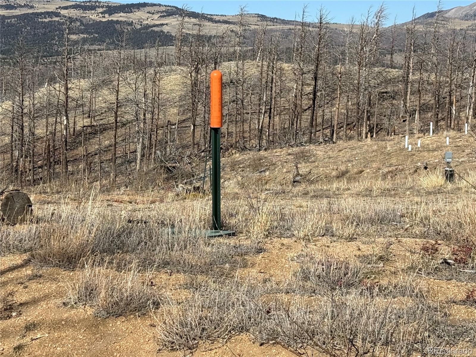 Lot 385 Soubry Place Fort Garland CO 81133