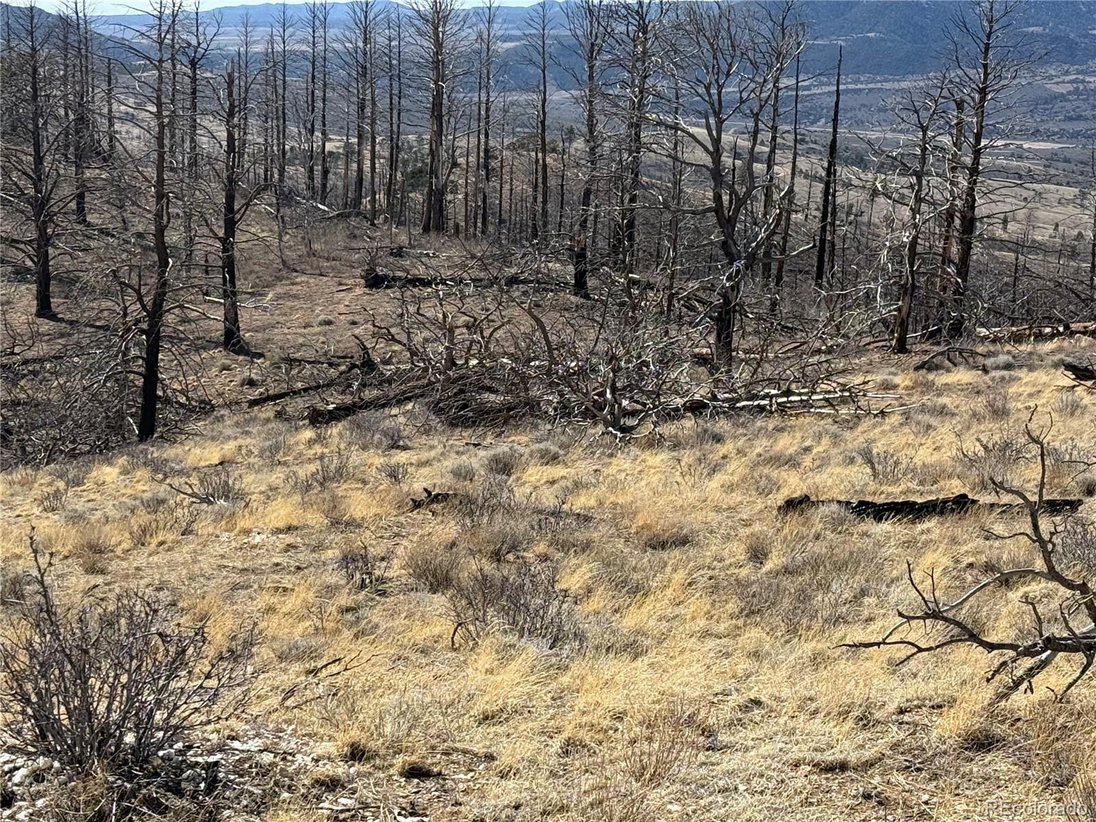 Lot 385 Soubry Place Fort Garland CO 81133