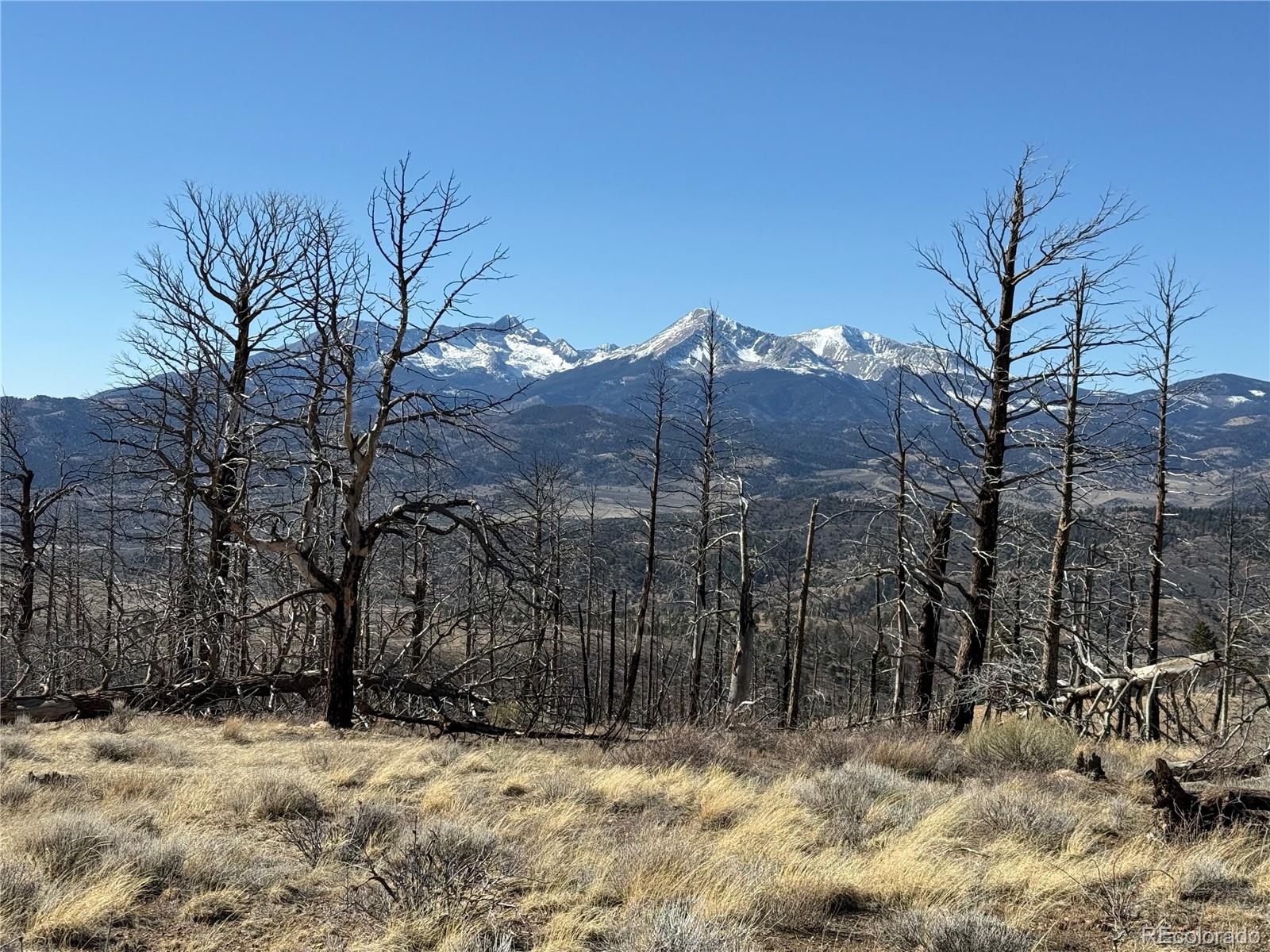 Lot 385 Soubry Place Fort Garland CO 81133
