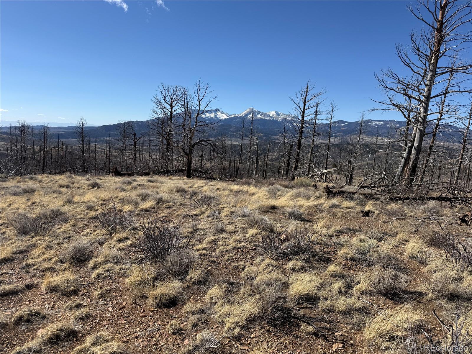 Lot 385 Soubry Place Fort Garland CO 81133
