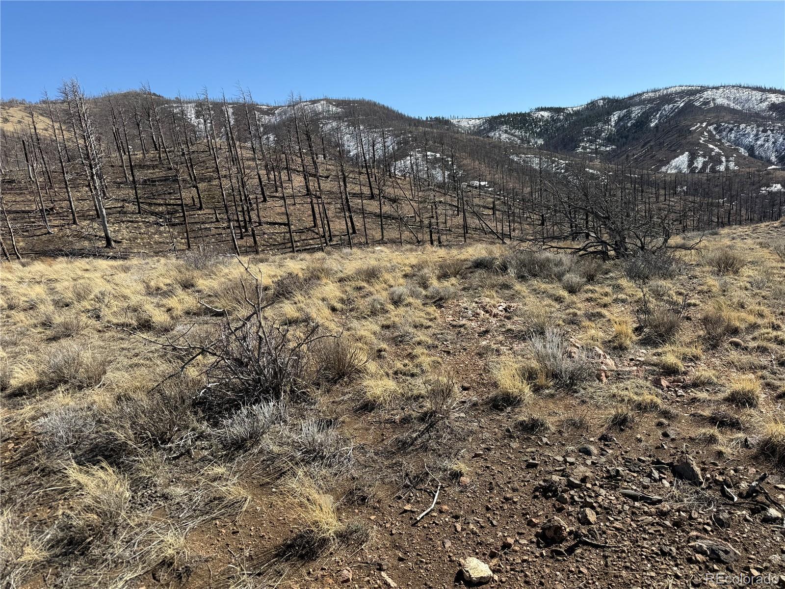 Lot 385 Soubry Place Fort Garland CO 81133