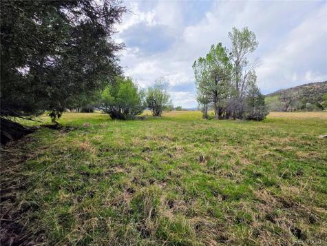 000 County Road 6 Coaldale CO 81222