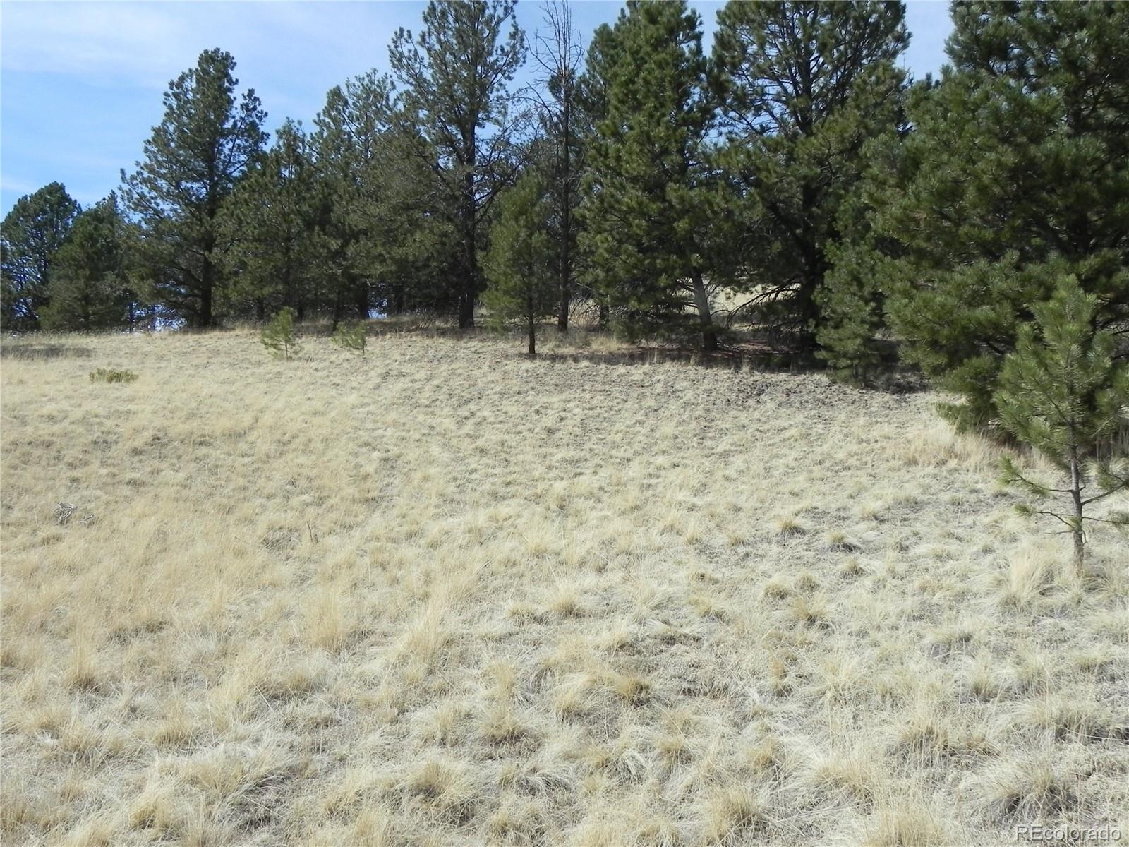 1058 Monarch Drive Cripple Creek CO 80813