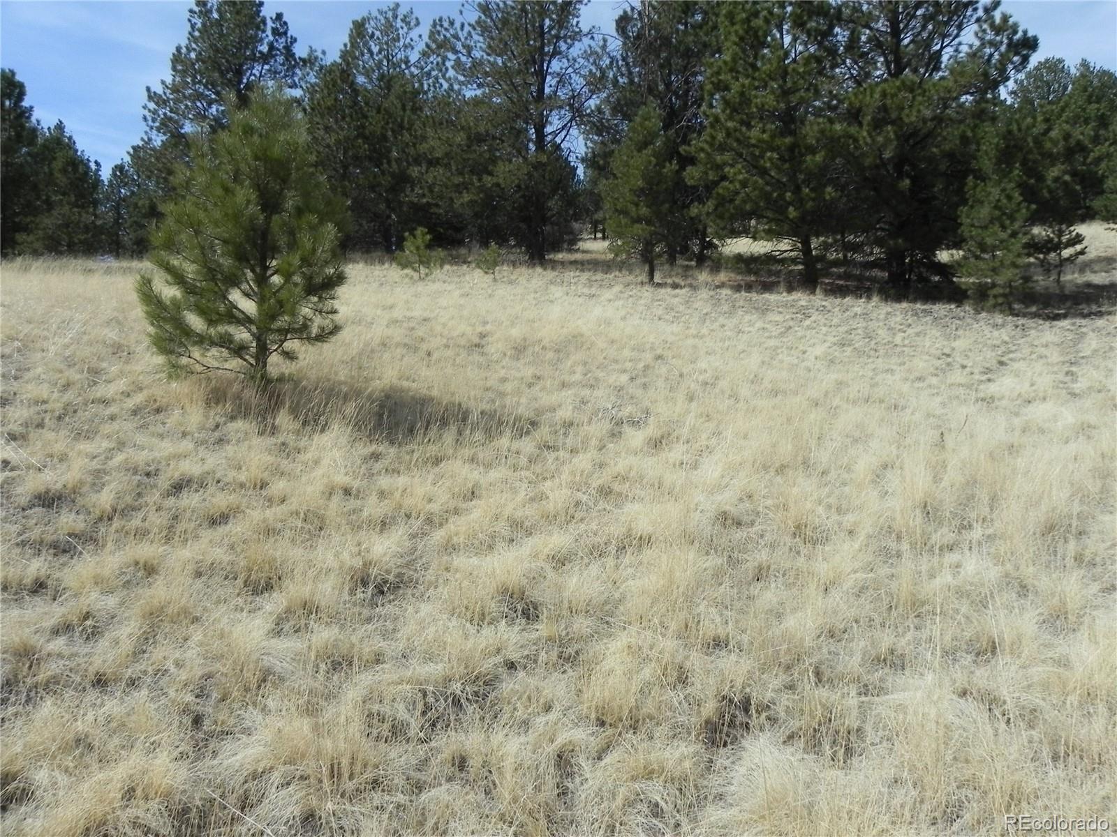1058 Monarch Drive Cripple Creek CO 80813