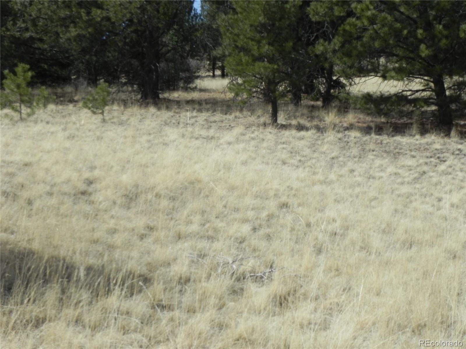 1058 Monarch Drive Cripple Creek CO 80813