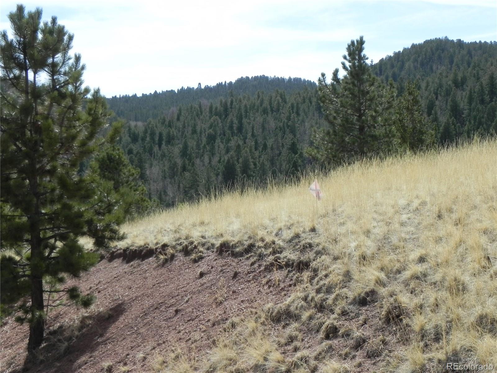1058 Monarch Drive Cripple Creek CO 80813