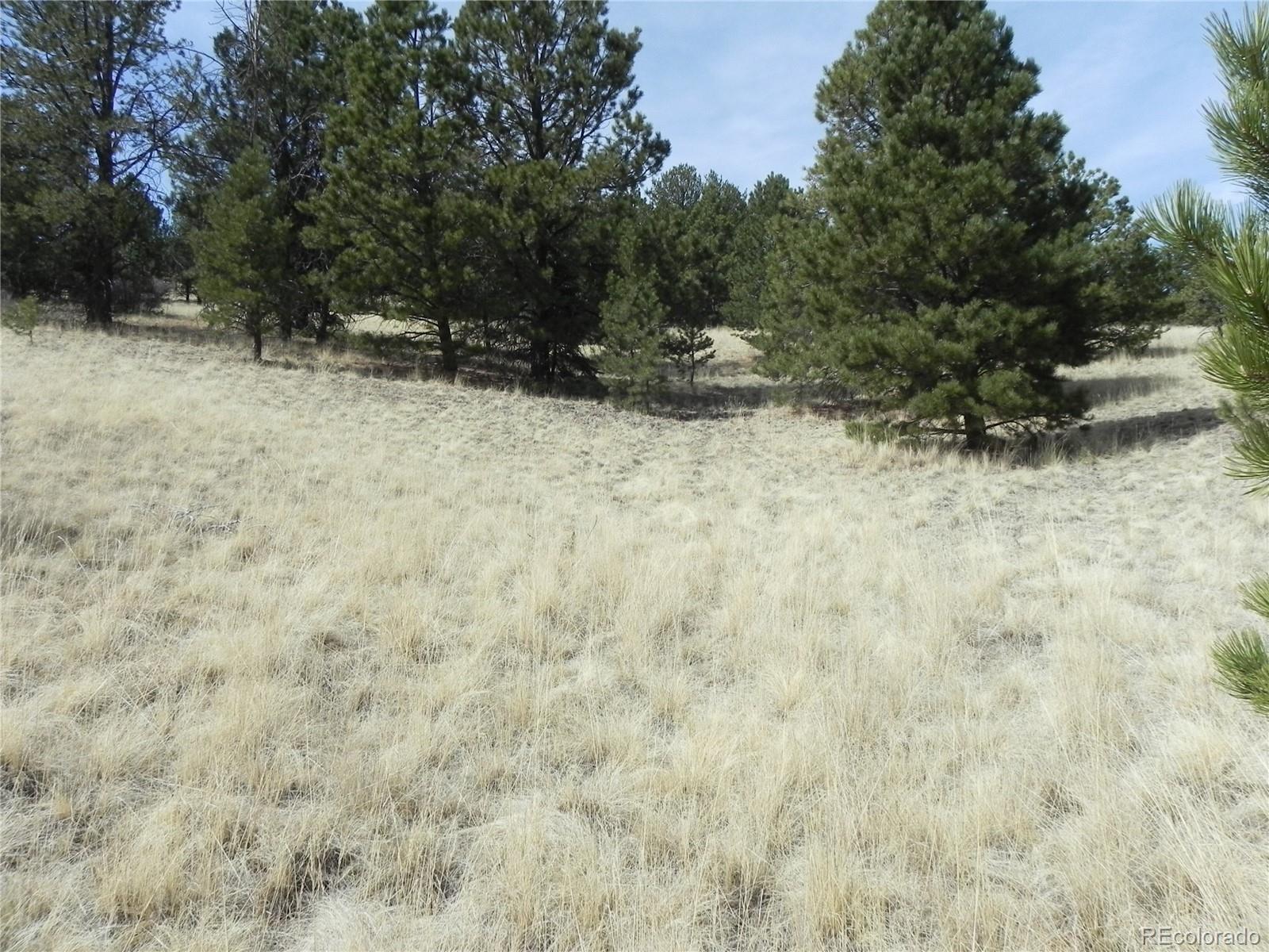 1058 Monarch Drive Cripple Creek CO 80813