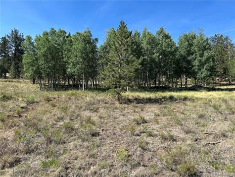 565 Hayhook Way Hartsel CO 80449