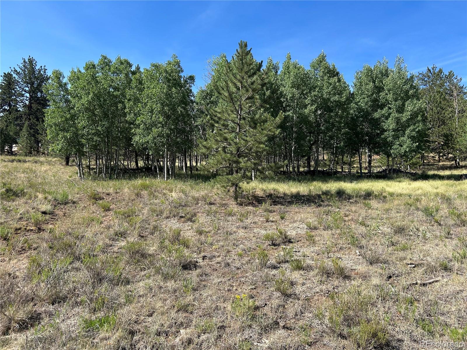 565 Hayhook Way Hartsel CO 80449