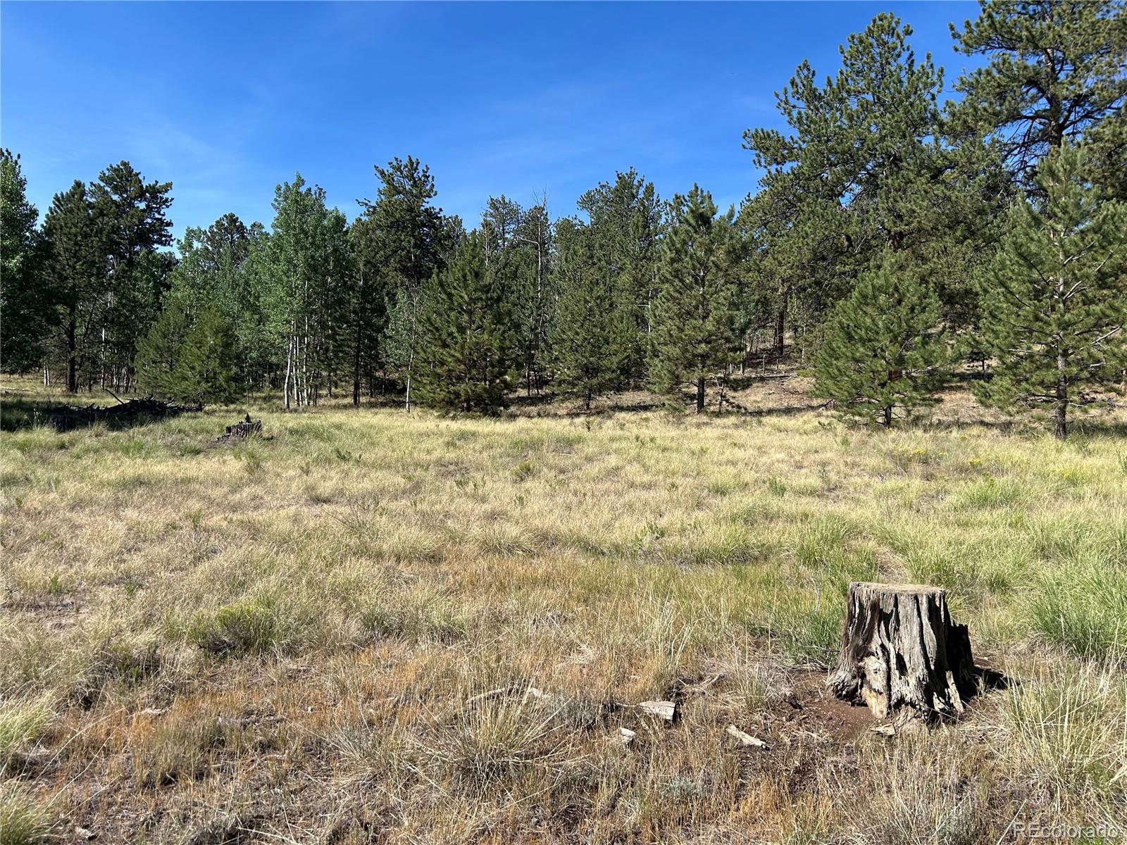 565 Hayhook Way Hartsel CO 80449
