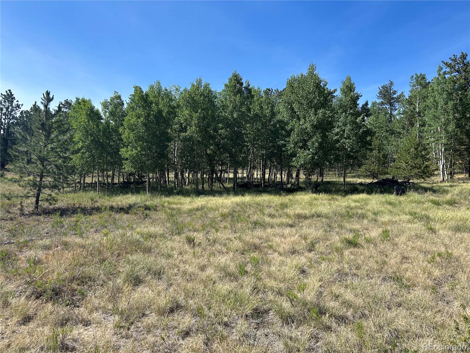 565 Hayhook Way Hartsel CO 80449