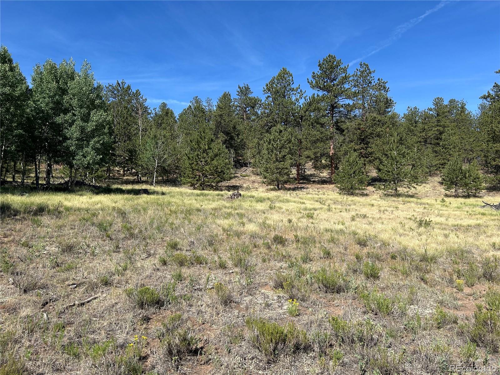 565 Hayhook Way Hartsel CO 80449