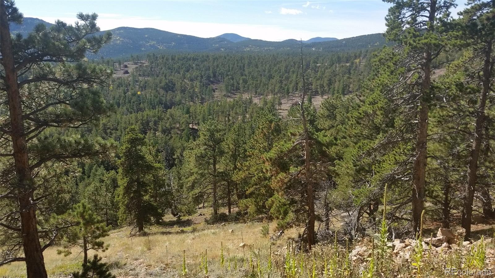 32778 Janelle Lane Golden CO 80403