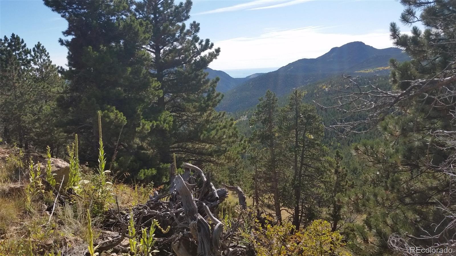 32778 Janelle Lane Golden CO 80403
