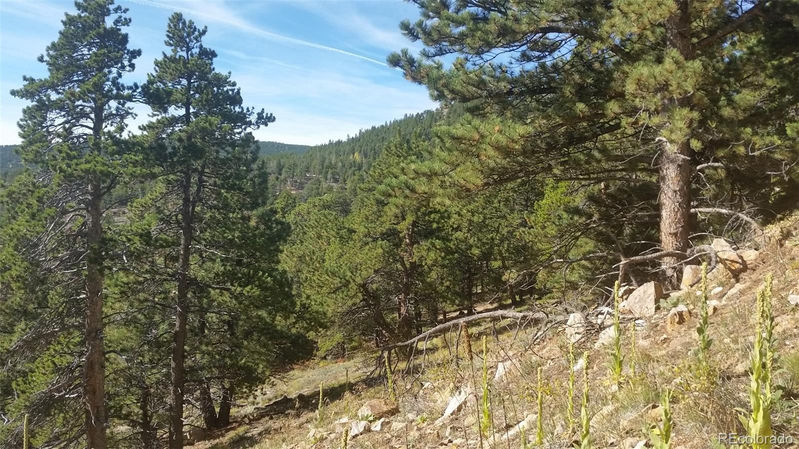32778 Janelle Lane Golden CO 80403
