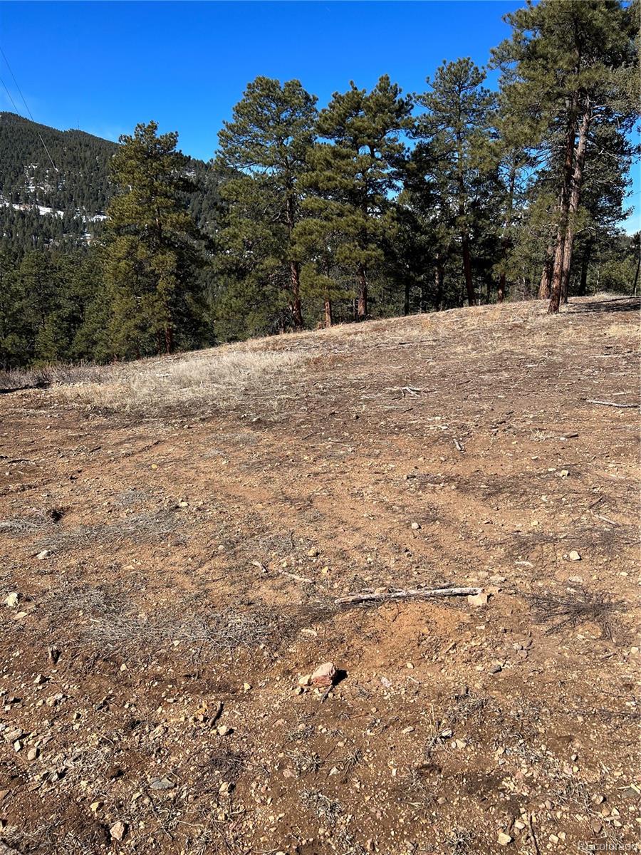 Lot 1 Iowa Gulch Road Morrison CO 80465