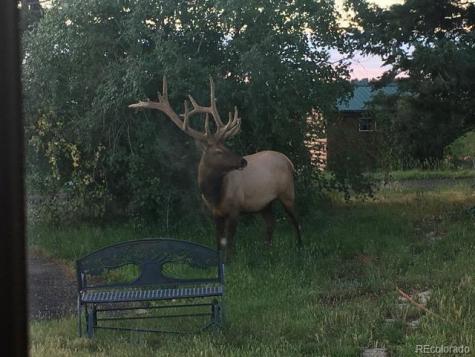 13854 N Trail Circle Littleton CO 80127