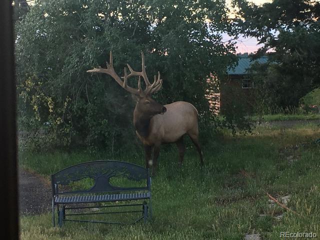 13854 N Trail Circle Littleton CO 80127
