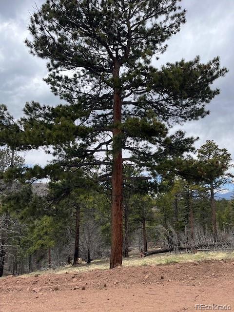 Lot 513 Leslie Loop Fort Garland CO 81133
