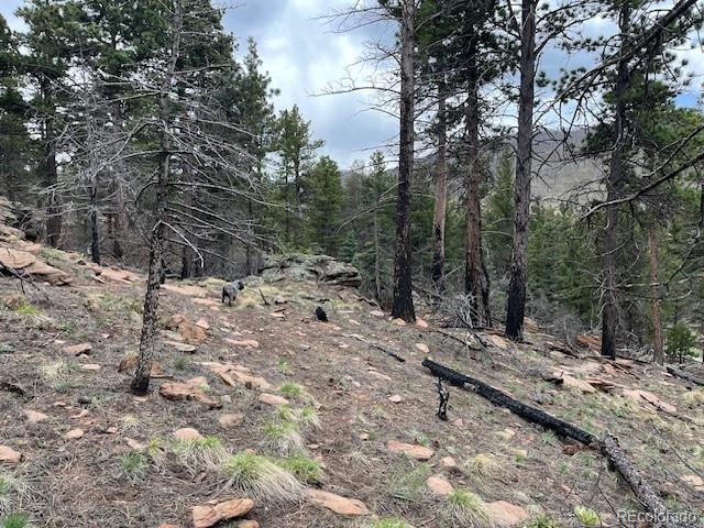 Lot 513 Leslie Loop Fort Garland CO 81133