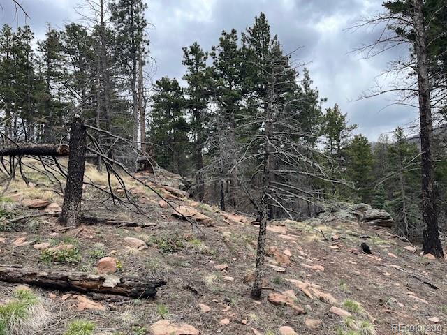 Lot 513 Leslie Loop Fort Garland CO 81133