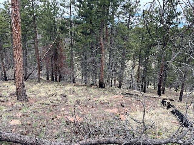 Lot 513 Leslie Loop Fort Garland CO 81133