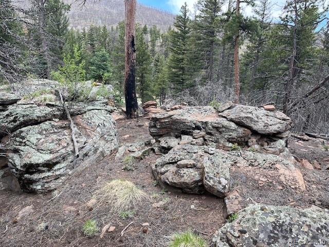 Lot 513 Leslie Loop Fort Garland CO 81133