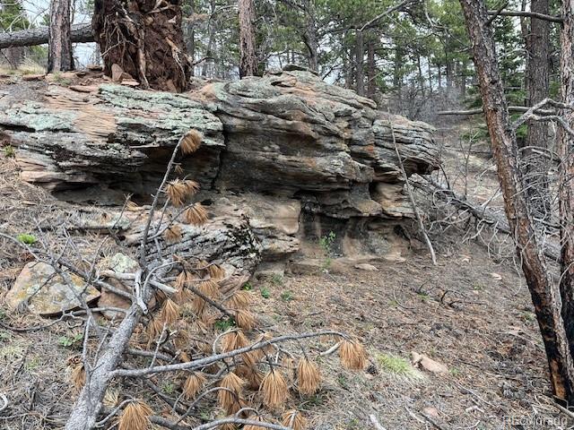 Lot 513 Leslie Loop Fort Garland CO 81133