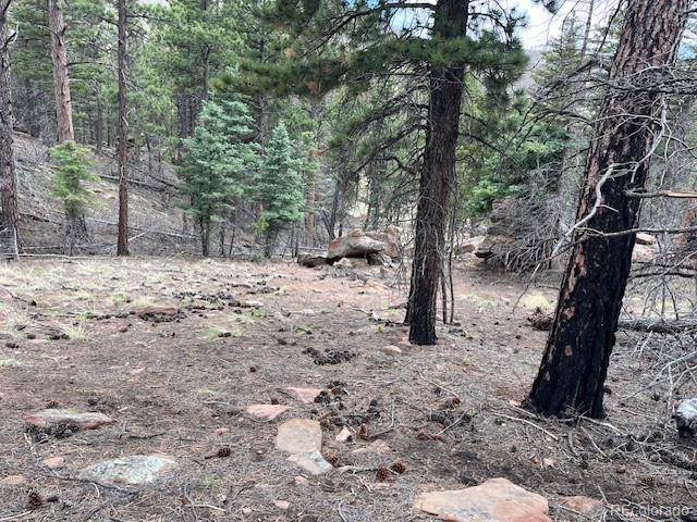 Lot 513 Leslie Loop Fort Garland CO 81133