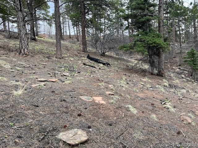 Lot 513 Leslie Loop Fort Garland CO 81133