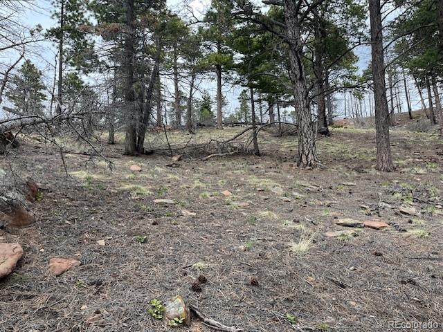 Lot 513 Leslie Loop Fort Garland CO 81133