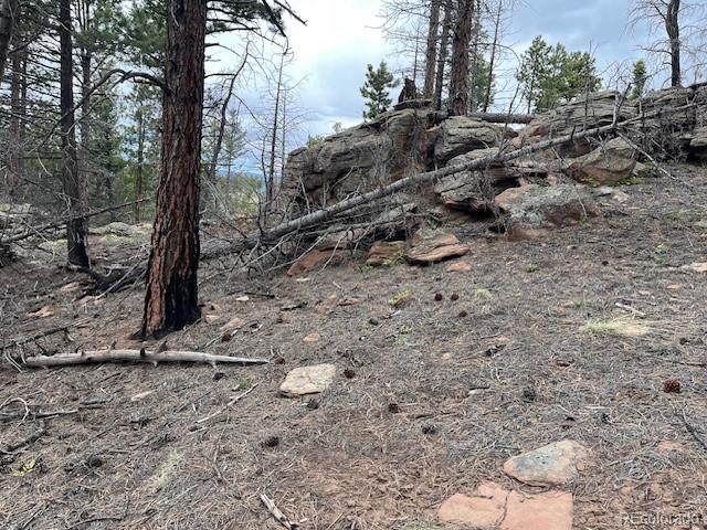 Lot 513 Leslie Loop Fort Garland CO 81133