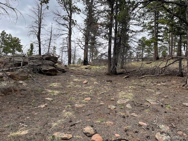 Lot 513 Leslie Loop Fort Garland CO 81133