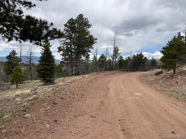 Lot 513 Leslie Loop Fort Garland CO 81133