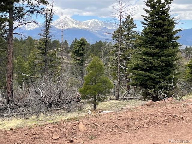 Lot 513 Leslie Loop Fort Garland CO 81133