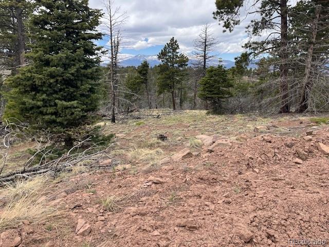 Lot 513 Leslie Loop Fort Garland CO 81133