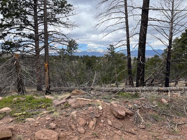 Lot 513 Leslie Loop Fort Garland CO 81133