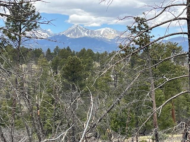 Lot 513 Leslie Loop Fort Garland CO 81133