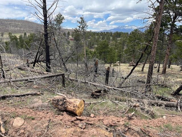 Lot 513 Leslie Loop Fort Garland CO 81133