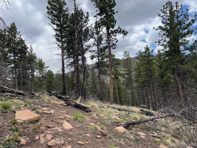 Lot 513 Leslie Loop Fort Garland CO 81133
