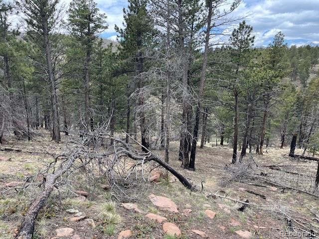 Lot 513 Leslie Loop Fort Garland CO 81133