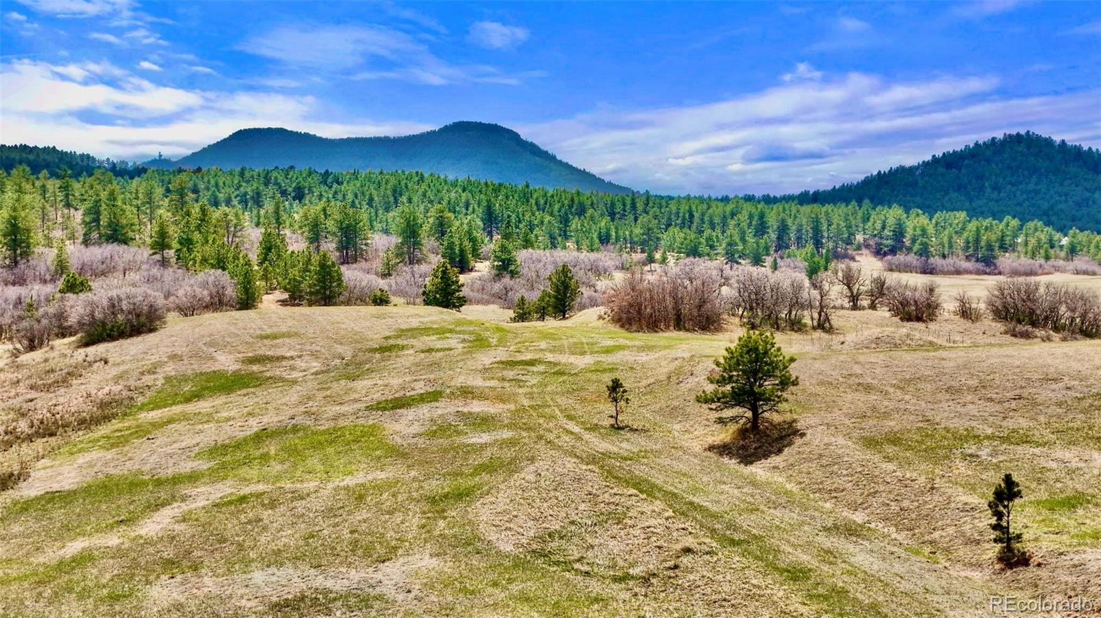 2 S Perry Park Road Larkspur CO 80118