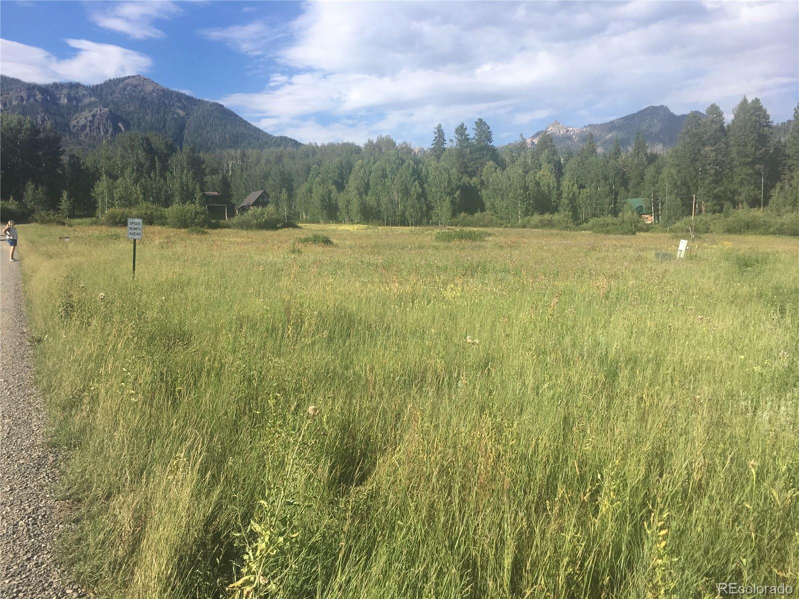205 Lost Valley Drive Creede CO 81130