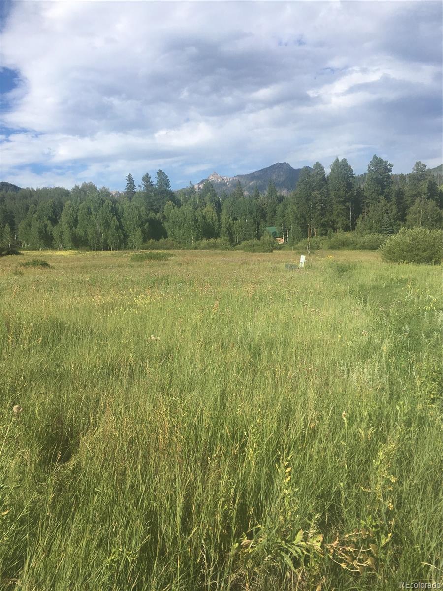 205 Lost Valley Drive Creede CO 81130