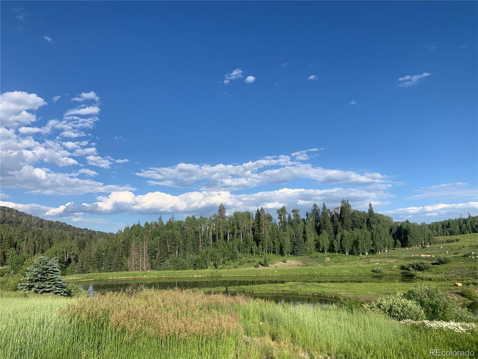 205 Lost Valley Drive Creede CO 81130
